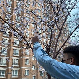 面具公社网页原神版
